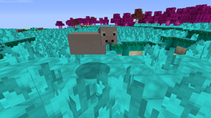 Sea Cows