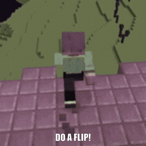 Do A Flip
