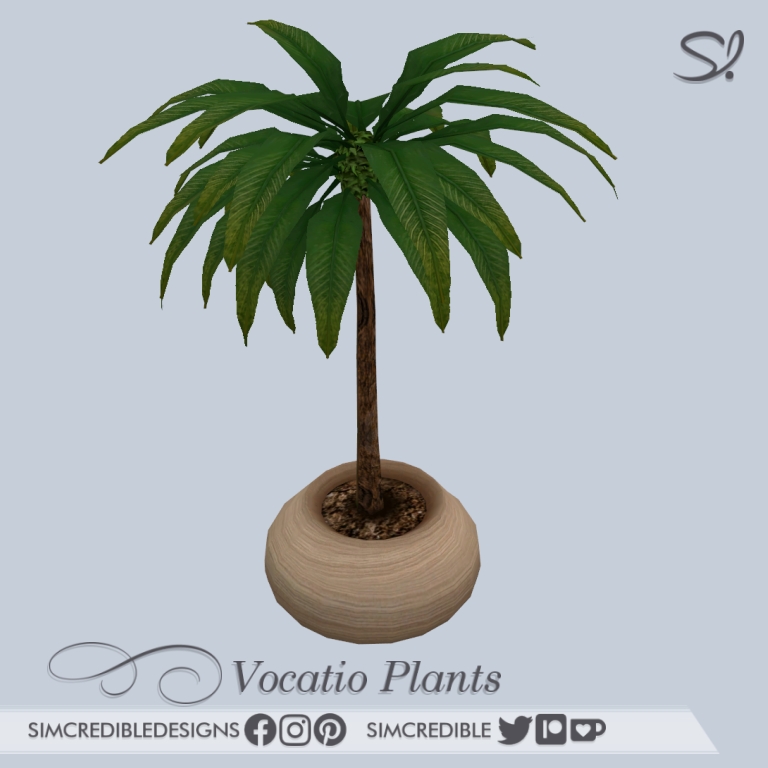 Vocatio palm 🌴 logo