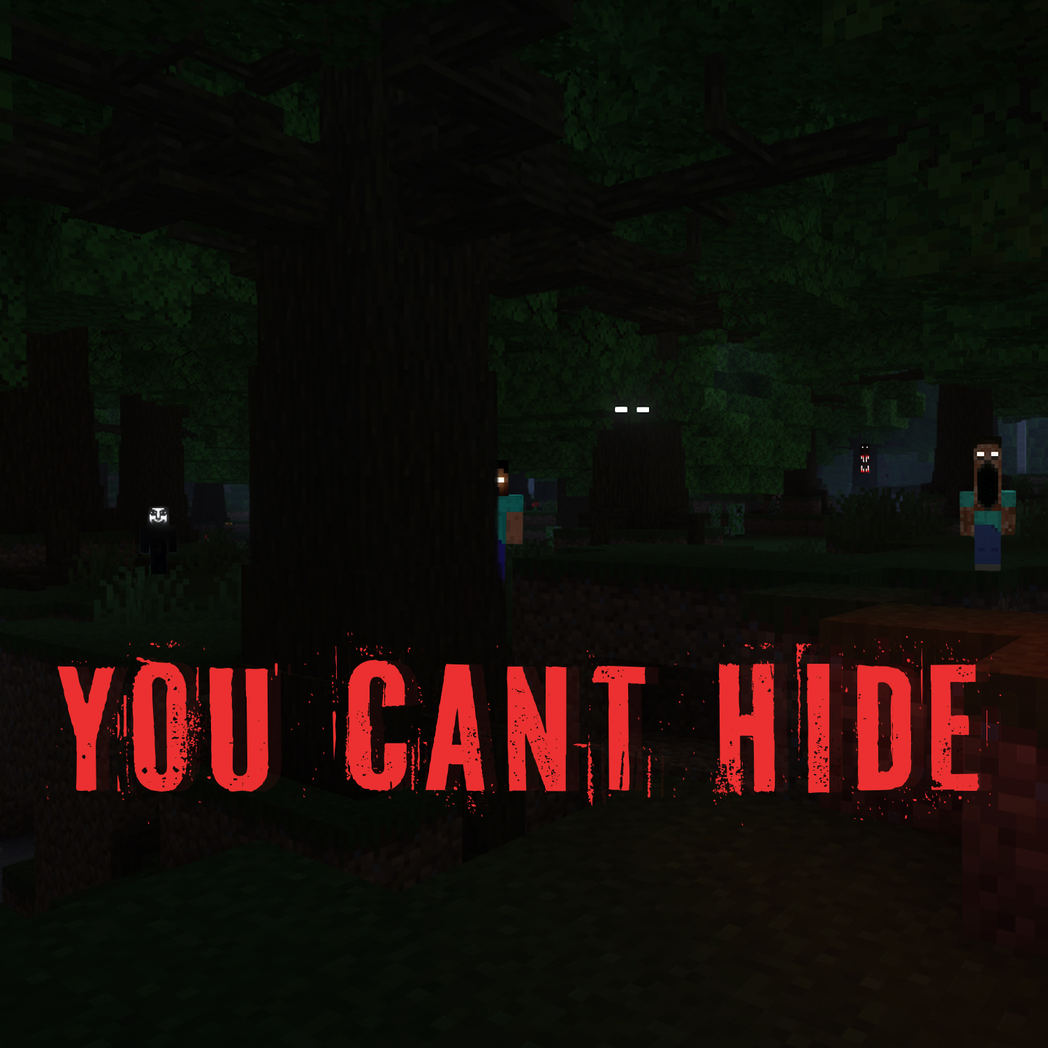 You Cant Hide