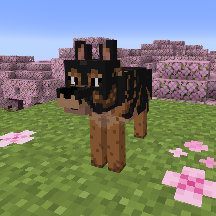 Buddy Paws