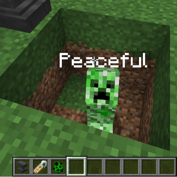 re: No Nametagged Peaceful Despawn