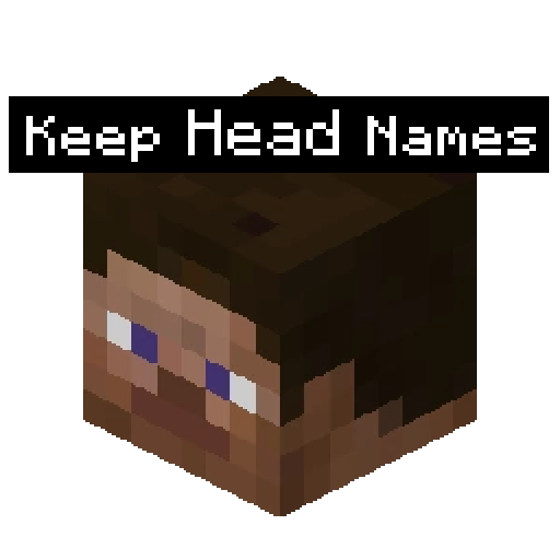 Keep Head Data logo