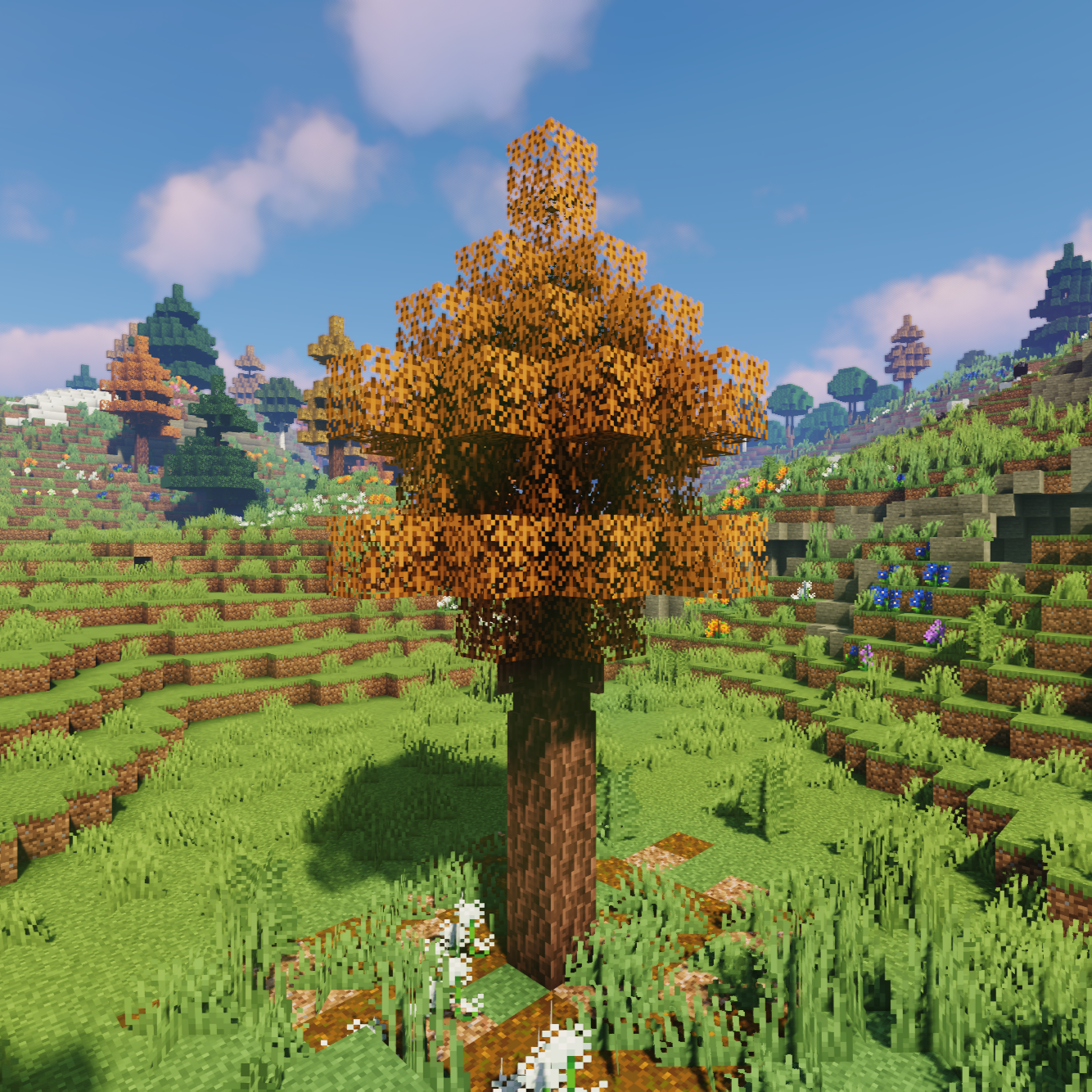 Dynamic Trees for Meadow logo