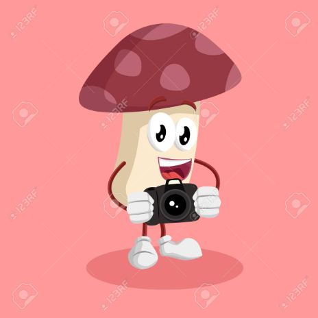 Mushroom Kingdom's Content Creation Starter Pack logo