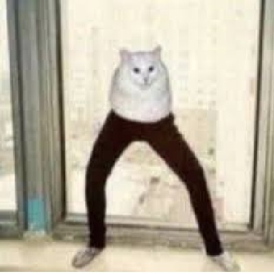 Long Cat Totem