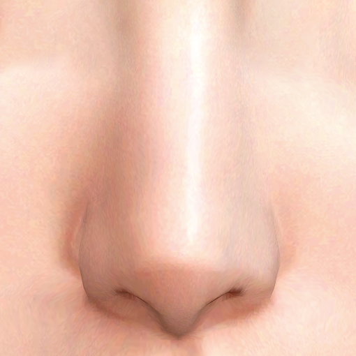 Nose Preset 48 HQ logo