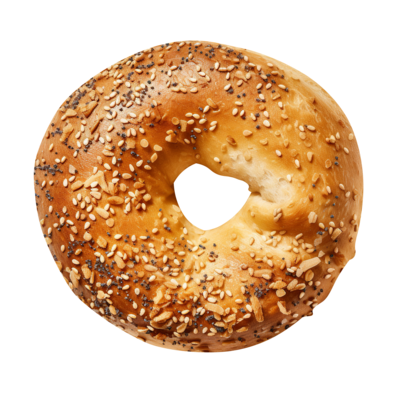 BagelSiege: Cobblemon with Friends