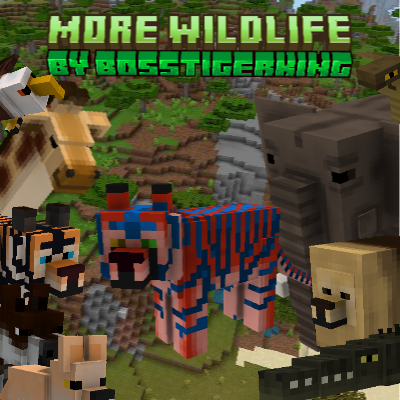 more wildlife logo