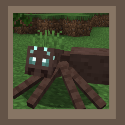 Cuter Looking Spiders