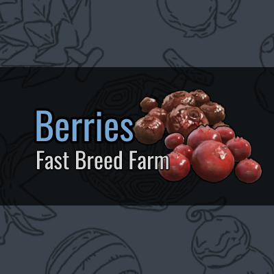 Berries Fast Breed Farm