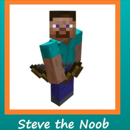 Steve The Noob