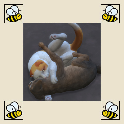 Pet to Pet - Cat and Dog Sanity logo
