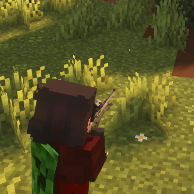 TaCZ: Leawind's Third Person Compat