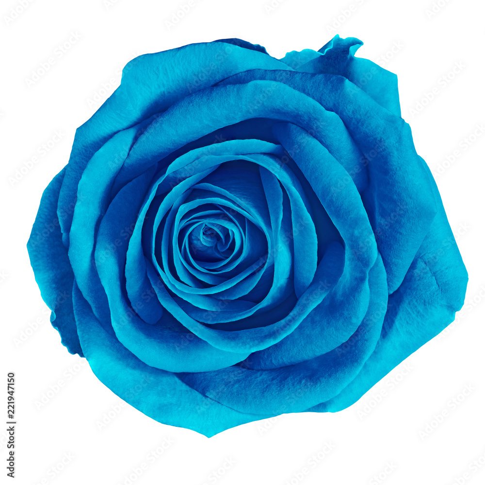 The Cerulean Order Fabric 1.20.2 icon