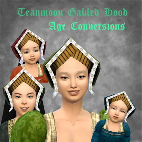 Teanmoons Gabled Hood - Age Conversions logo