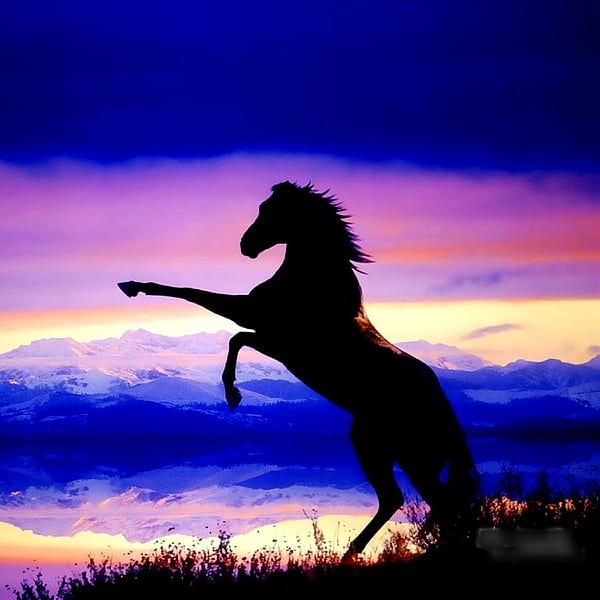 Eternal Equine