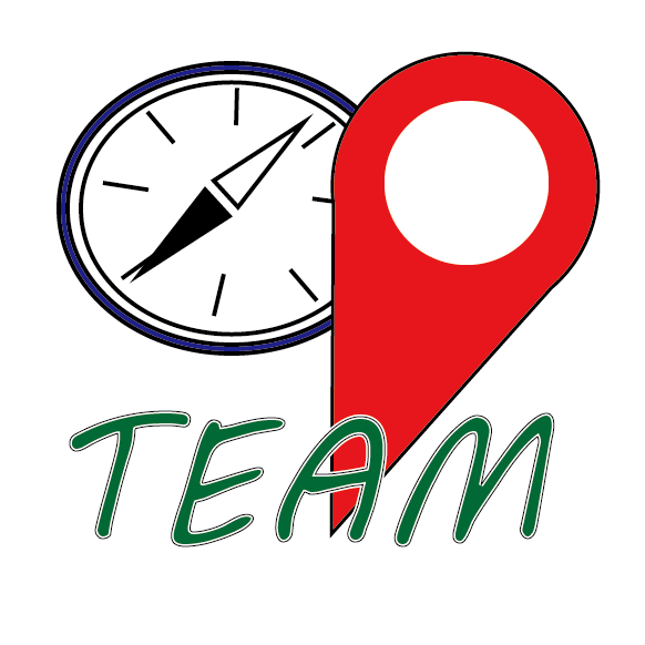 Team Pin logo