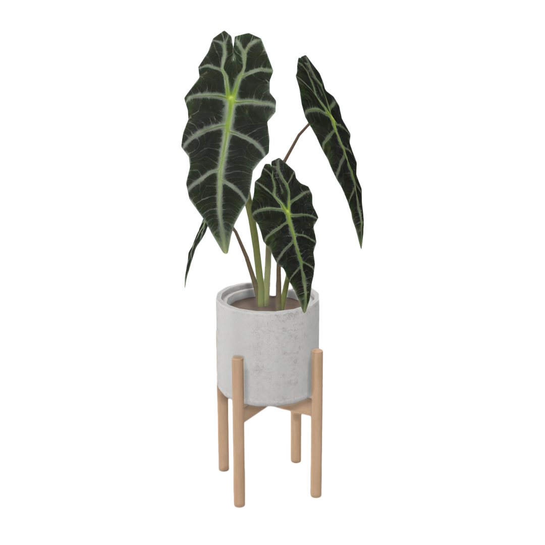 Comiko - Boho Dining Room Alocasia Plant With Stand logo