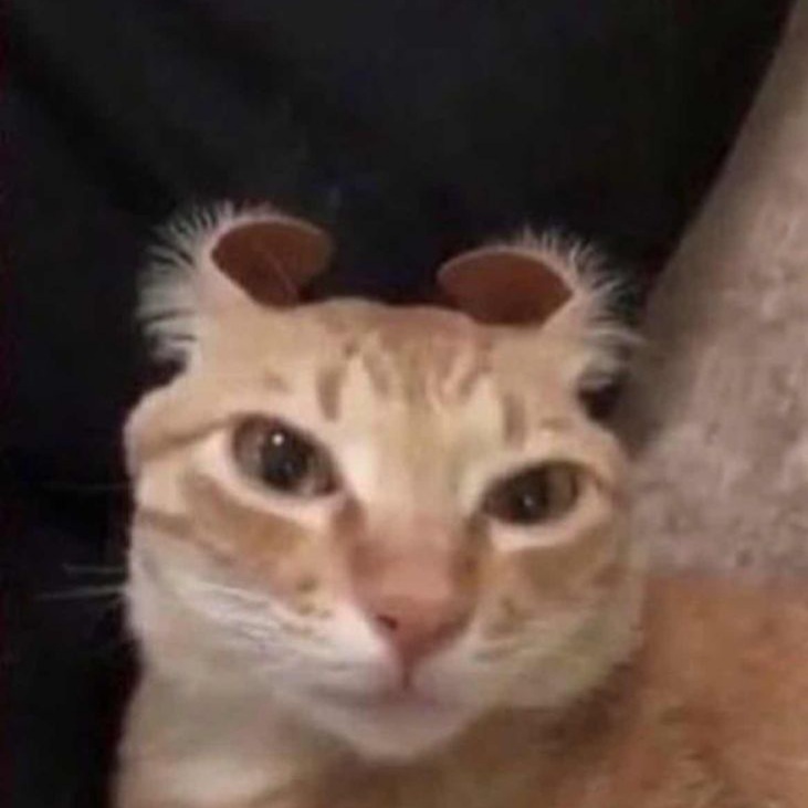 The Wars Mods Minecraft