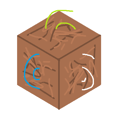 First Soil