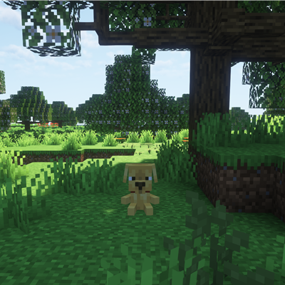 Wex Craft