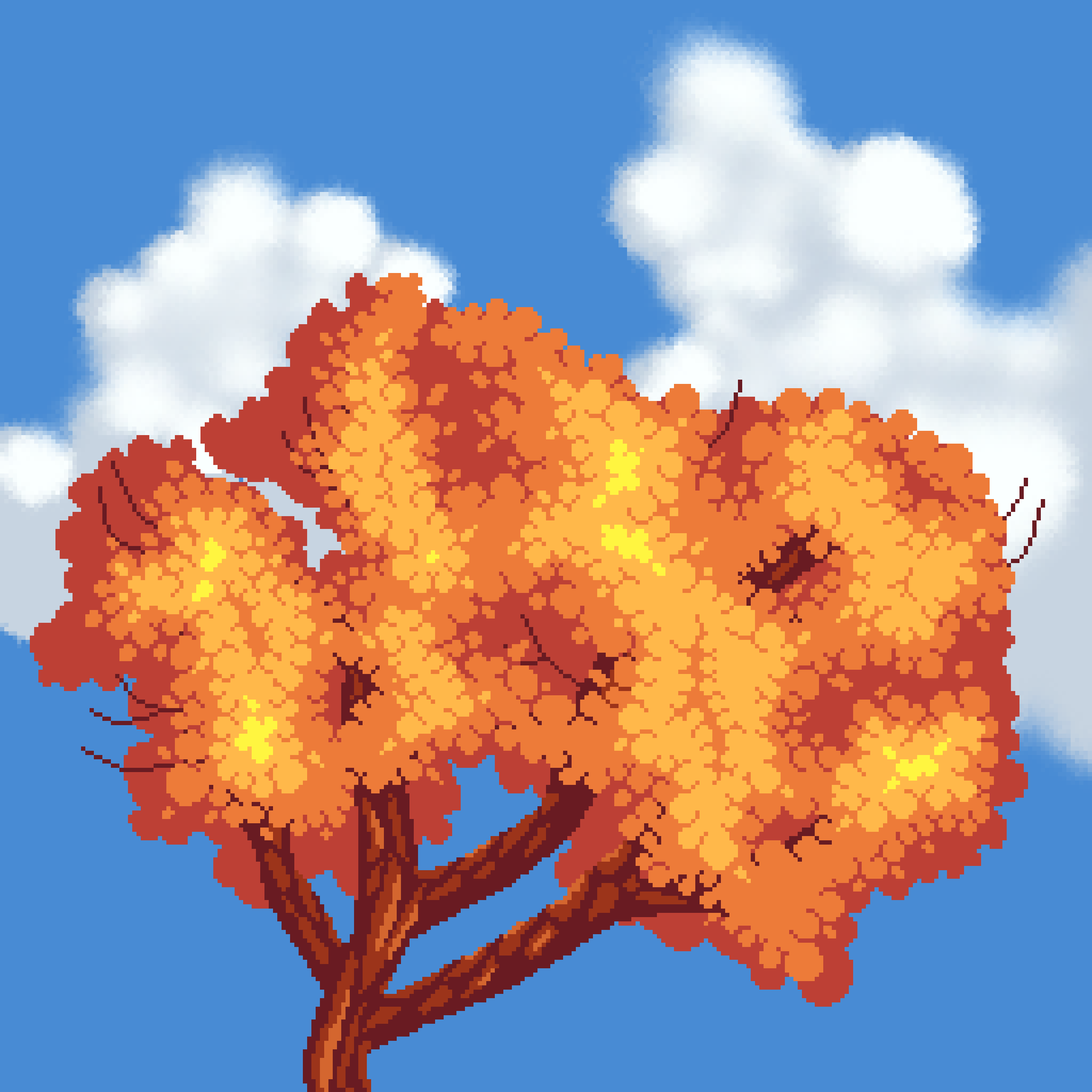 CSMP Horizons