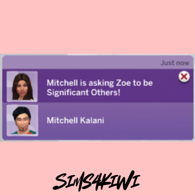Partner to Significant Other