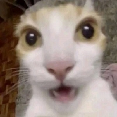 GetoXKny
