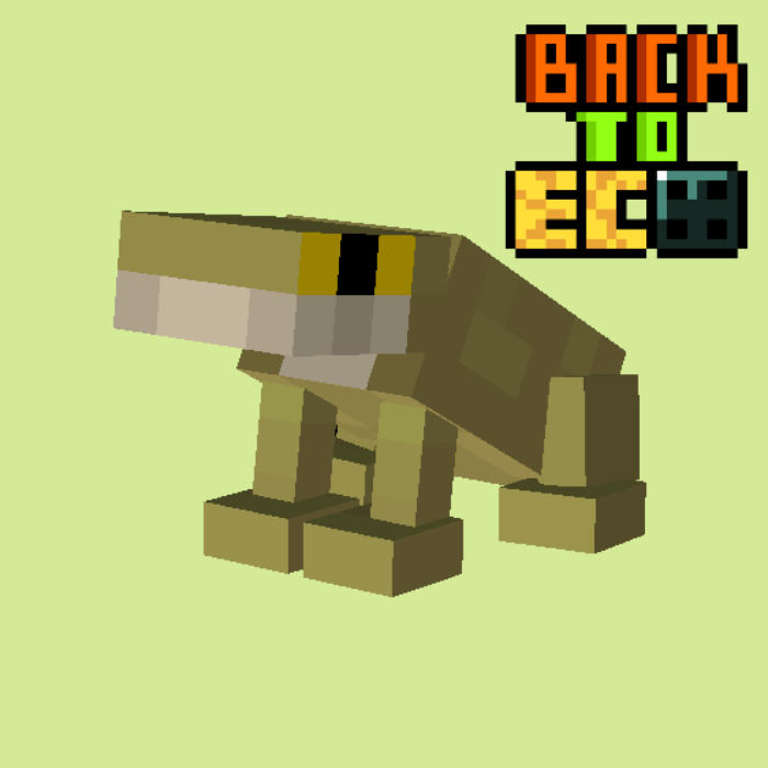Back to Eco logo