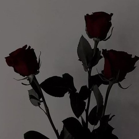 If You Forget Me, Pablo Narudo