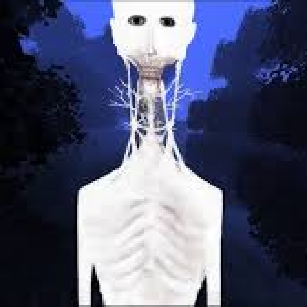 The Bath Project logo