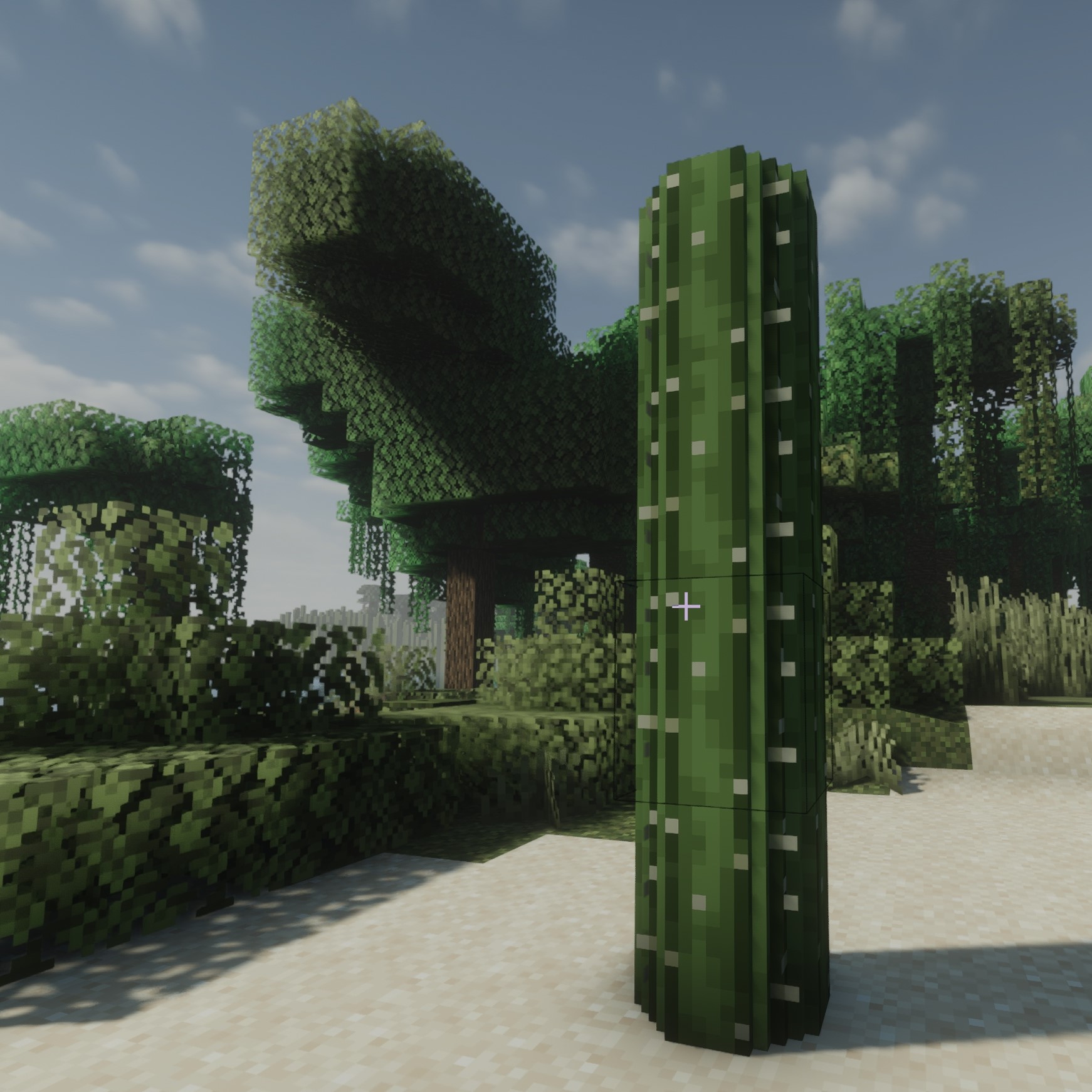 Round Cacti logo