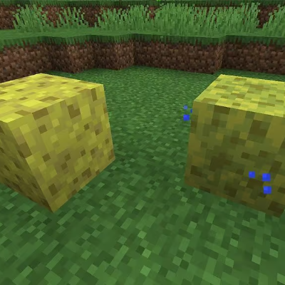 the sponge crafting