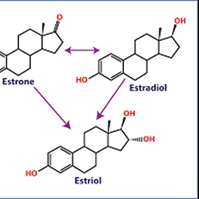 Estrogen Craft logo