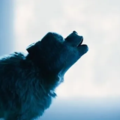 Wolven Restarved logo