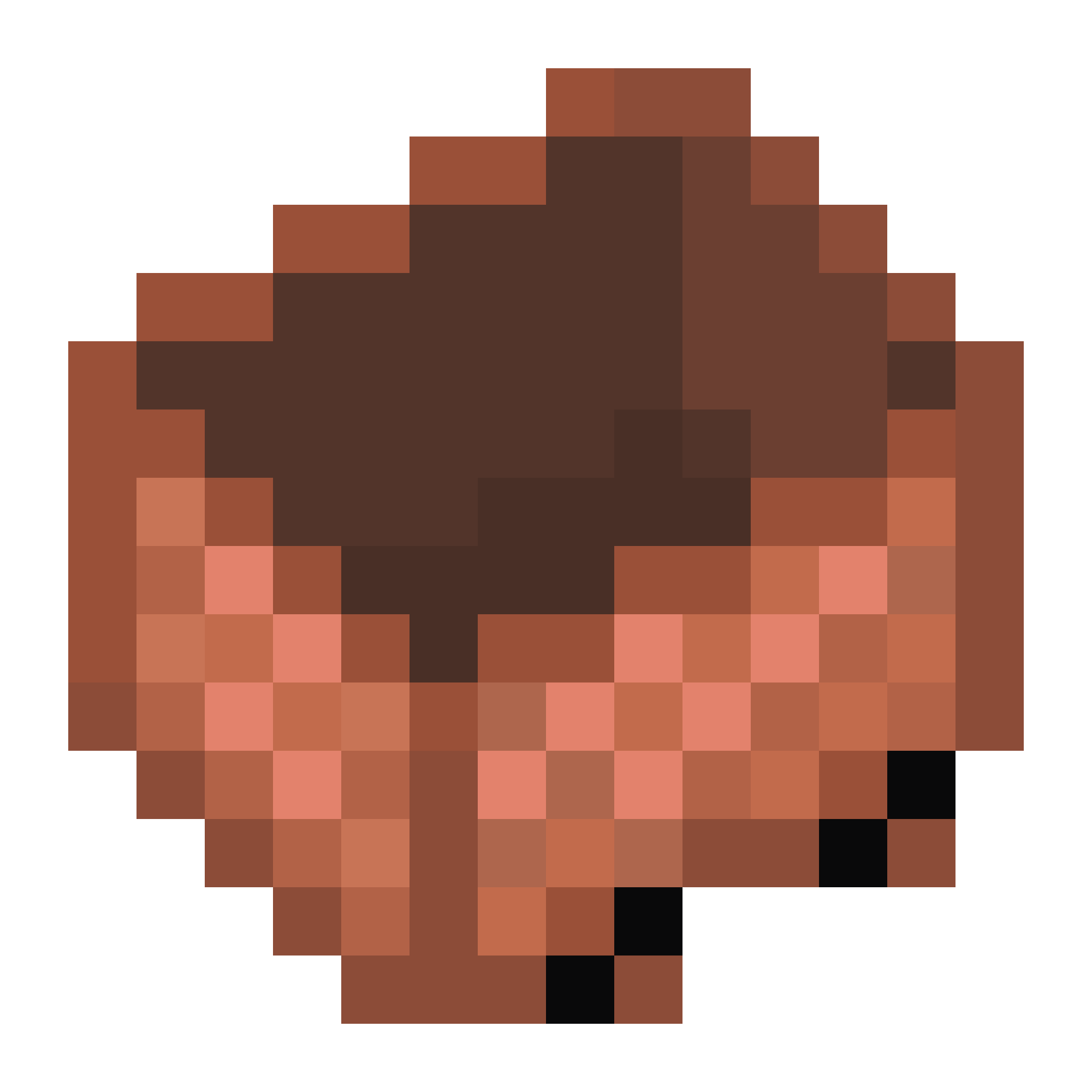 Nemo's Copper logo