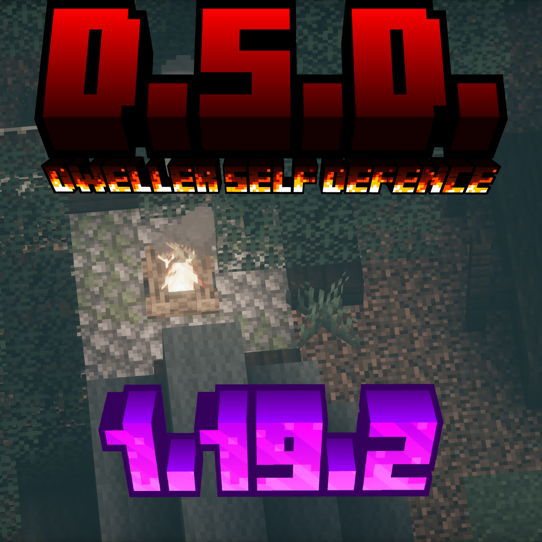 D.S.D. The one who watches -edition-