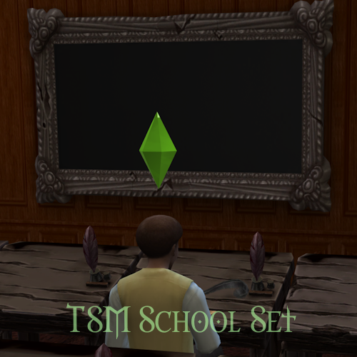 TSM School Set logo
