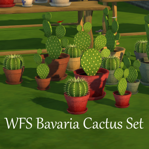 WFS Bavaria Part 5: Cactus Set logo