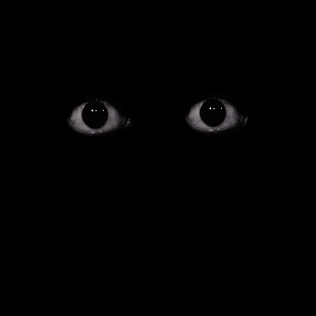 RUN BUT DO NOT SCREAM 2.0