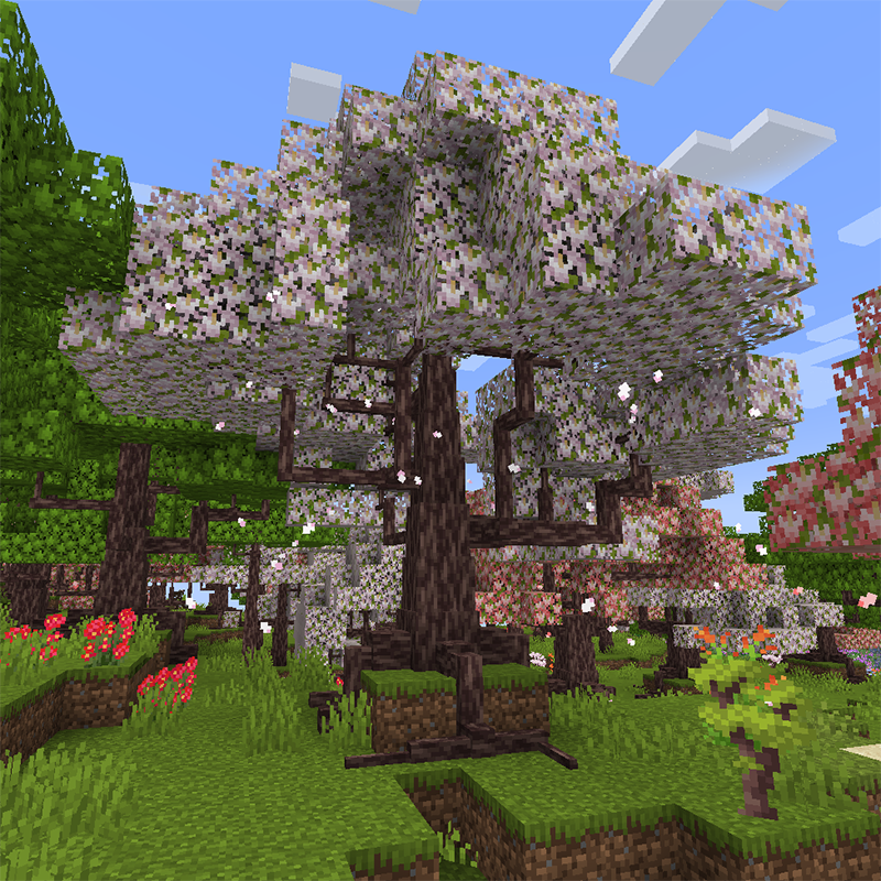 Dynamic Trees - Regions Unexplored