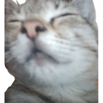Cat Totem Pack