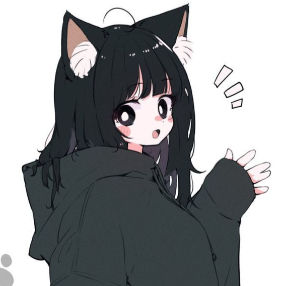 The Kxt's Meow