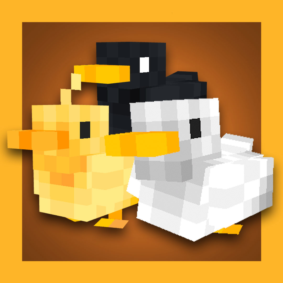 Cute Companions: Ducks