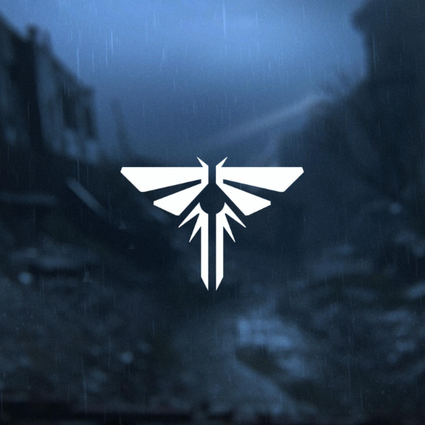 The Last Of Us - Experience