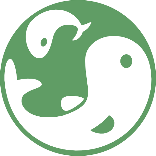 Koi Craft