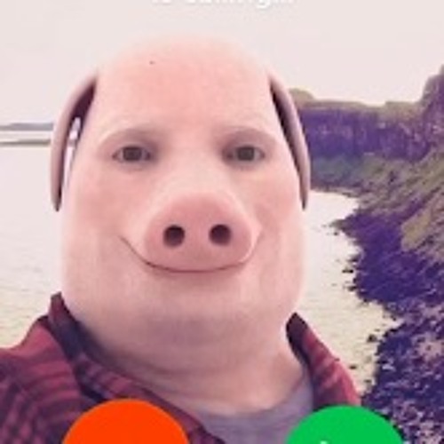 John Pork Adventures