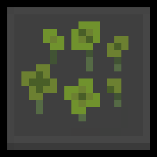 WildFlower to Clover Pack