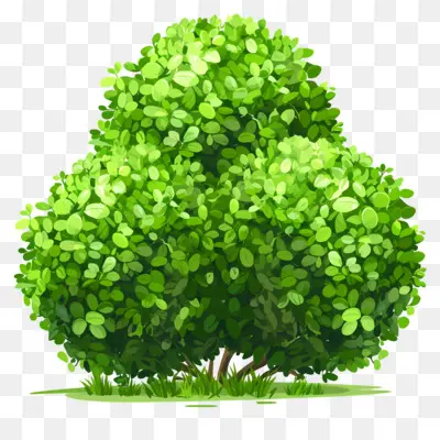 Family Bush